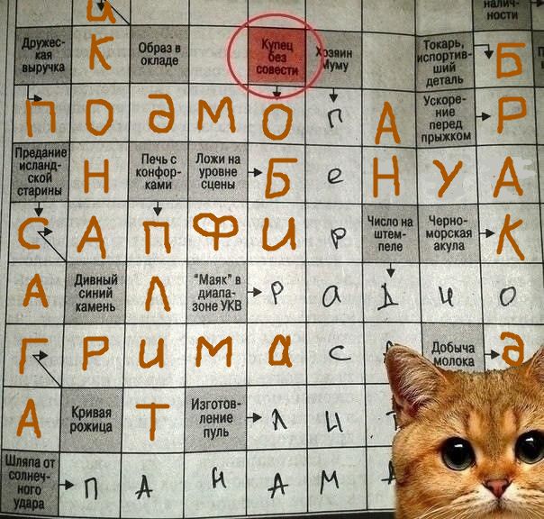 Среды картинки