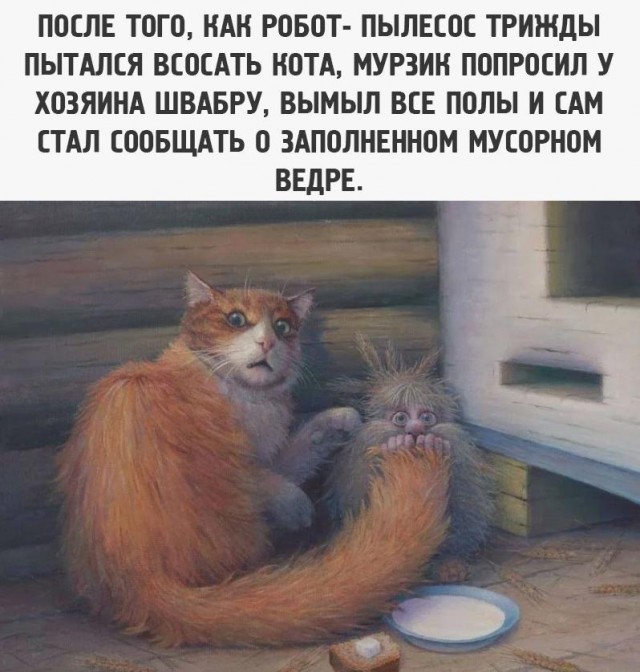 К котовторнику: подборка картинок-баянов с котиками и про котиков. Выпуск 37.