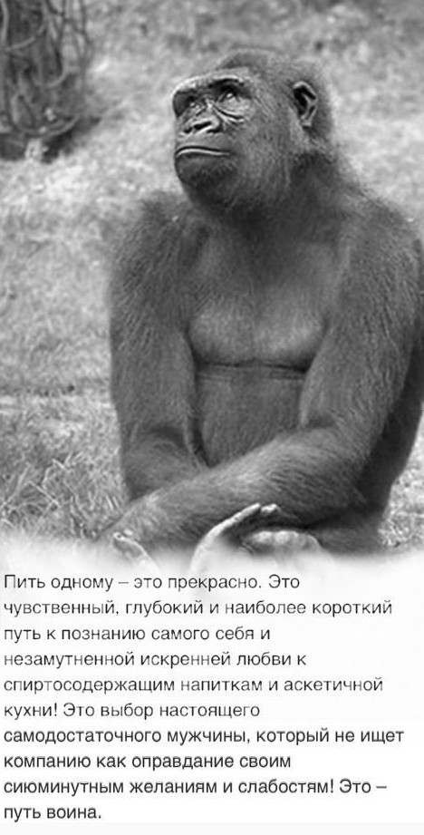 С днем трезвости!