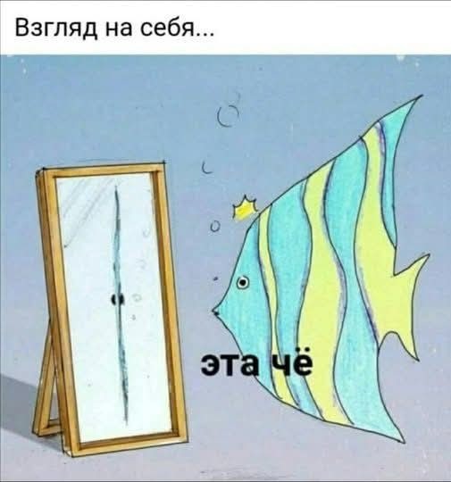 Картинки для деградации 295 (разной степени свежести)