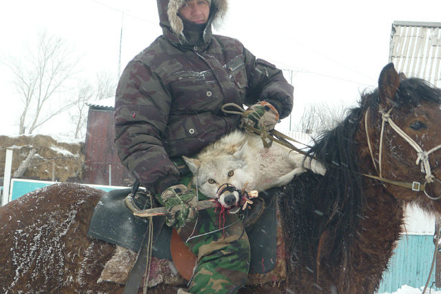 Хрюша и Филя