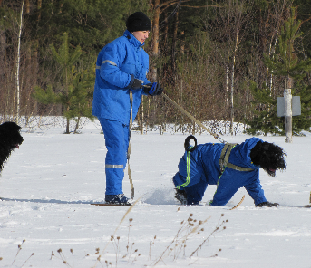 Собакочетверг на 02.01.2014