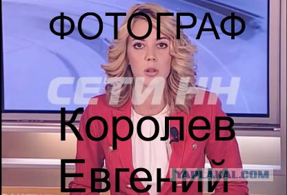 Твари получили по щам. Продолжение в суде