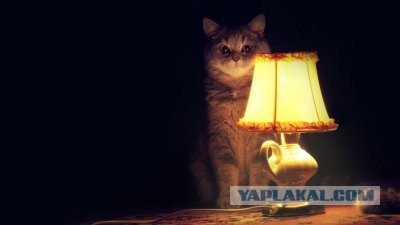 А вот с какого хера?