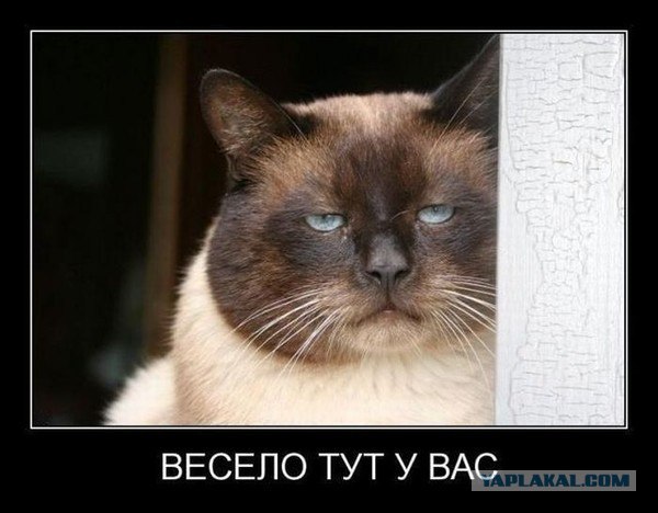 Ураа! Замуж!