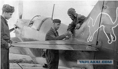 Самые трогательные фотографии войны