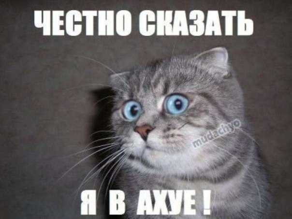 Сбитый пешеход отомстил водителю