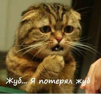Известные котомемы.
