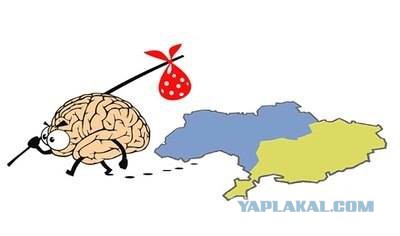 Яценюк задумал снять фильм про украинский Крым