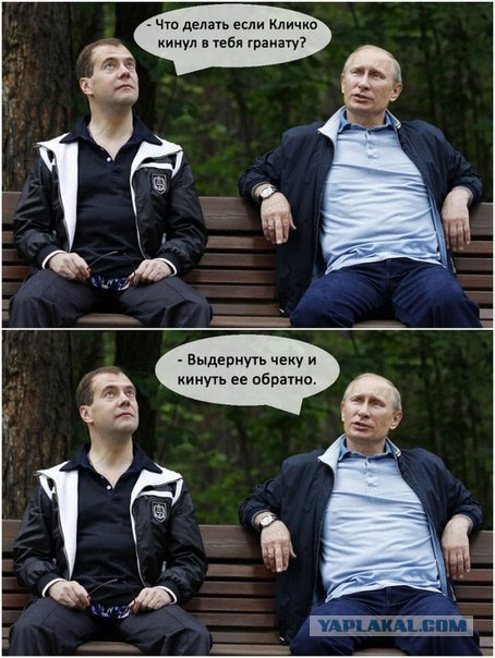 Немного Кличко головного мозга