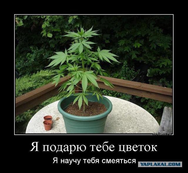 Подборка демотиваторов