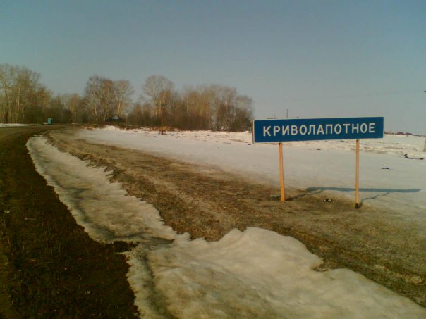 Плот.