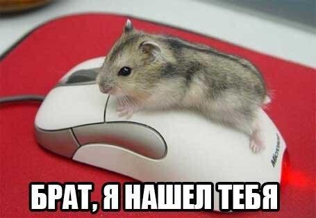 Картинки на пятницу