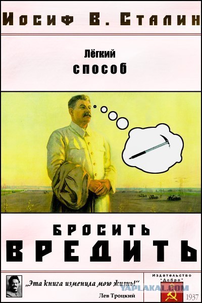 Из-за сына Медведева вырубили березовые рощи