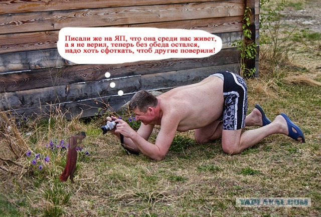 Они среди нас