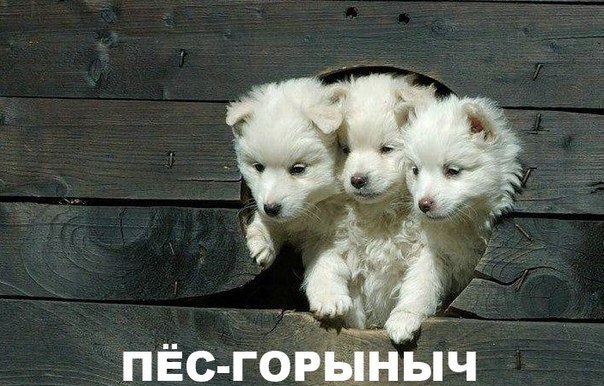 Отовсюду понемногу