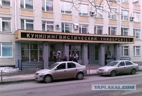 У них действует только одно правило
