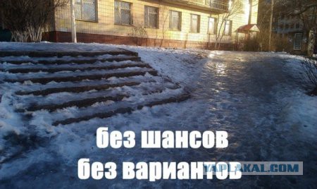 Веселые картинки