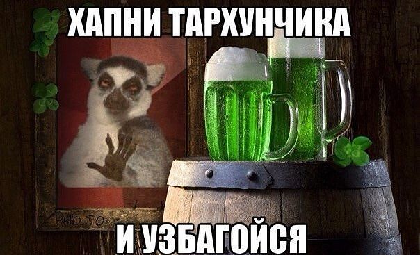 Поехали! Первый запуск с космодрома "Восточный"