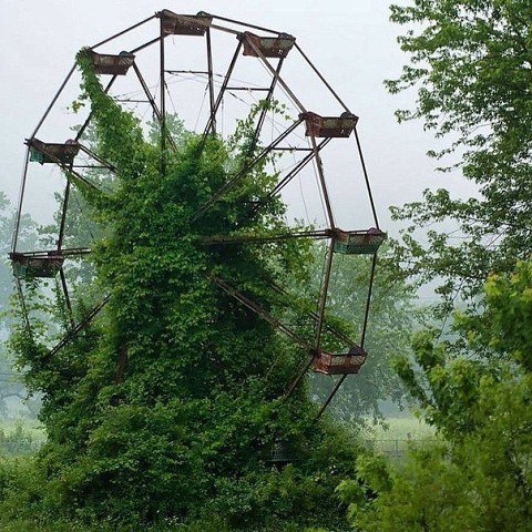 Картинки разные
