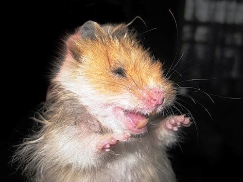 Субботняя подборочка картинок