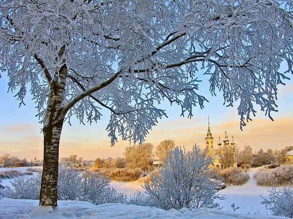 Картинки для отдыха глаз