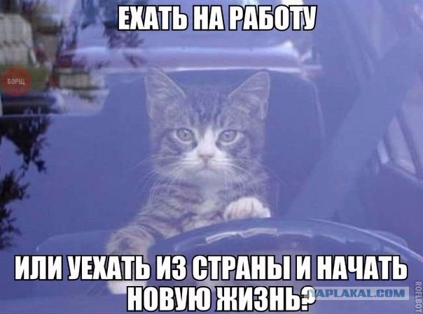 Картинки с интернетов