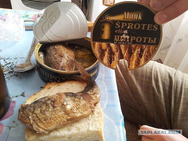 Российские производители шпрот полностью заместили продукцию из Прибалтики