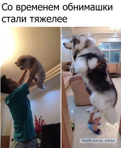 Субботний картиночный винегрет