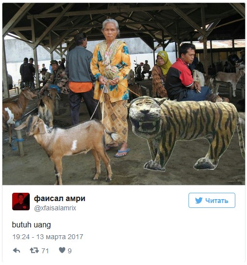 Индонезийская армия убрала со своей базы статую тигра, потому что та стала мемом
