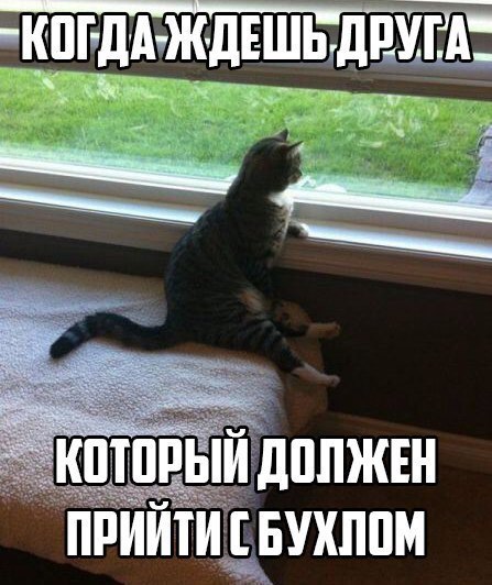 Тупеж и деградация