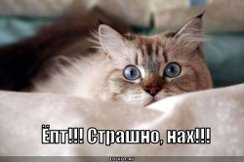 Ловись рыбка... акула в Челябинске!