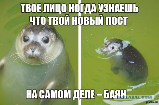 Мужчина решил снять на видео молнию, но не ожидал, что сам попадет под удар