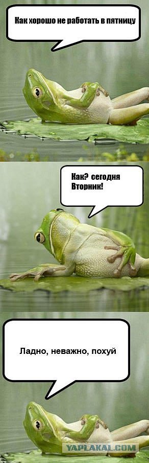 Полчаса мизантропии и интроверсии