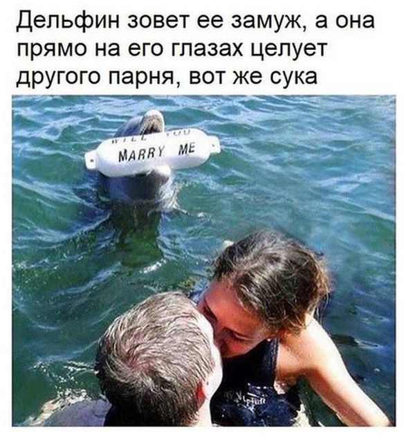 Подборка интересных и веселых картинок