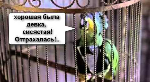 Стали известны новейшие подробности жизни и смерти голой туристки