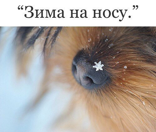 Просто юмор 20