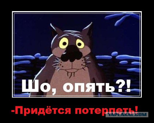 Путин предложил россиянам потерпеть