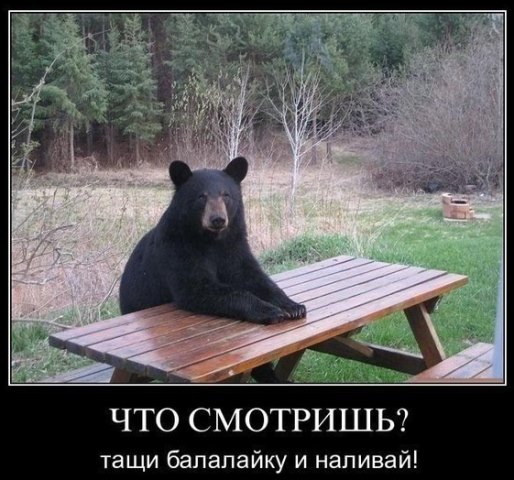 Нестандартный юмор