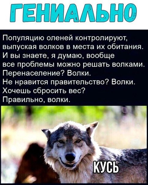 Картинки из интернетов