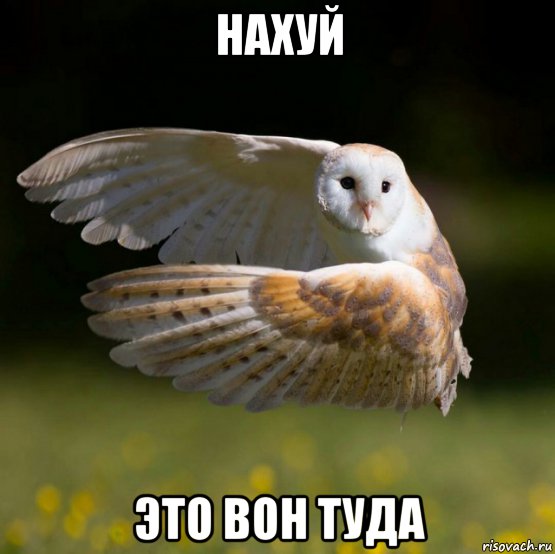 Подборка интересных и веселых картинок