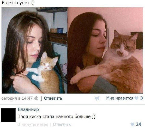 Слегка аморальный и лютый юмор. Только для ценителей