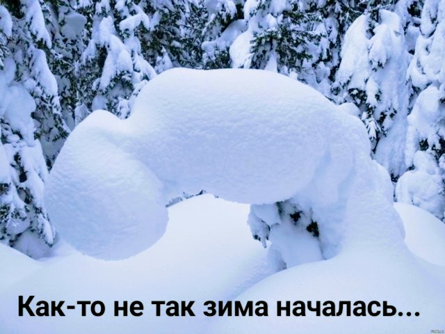 Нестандартный юмор