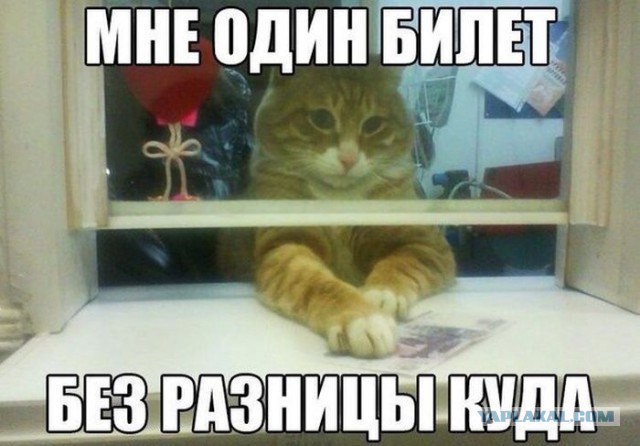 Хакасская чиновница, получившая премию в 500%, обещала не шиковать