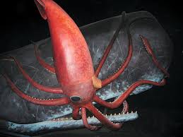 Кормежка в океане