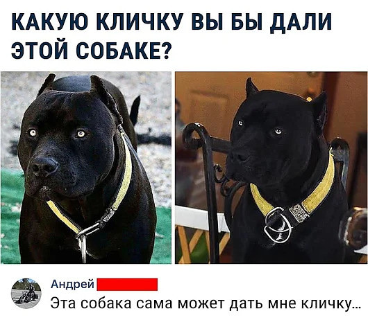 Разные по свежести картинки