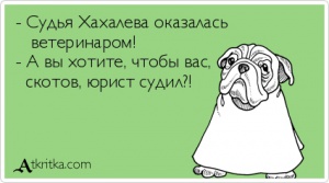 В России предложили ввести наказание за принижение авторитета судебной власти