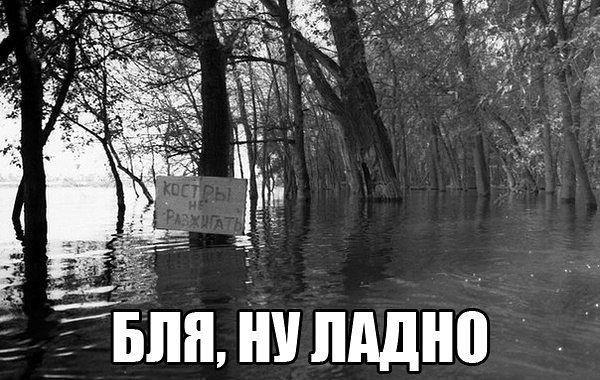 стырнета