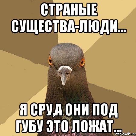 В Москве водитель "Яндекс Такси" на глазах пассажирки употребил насвай и предложил ей сесть за руль