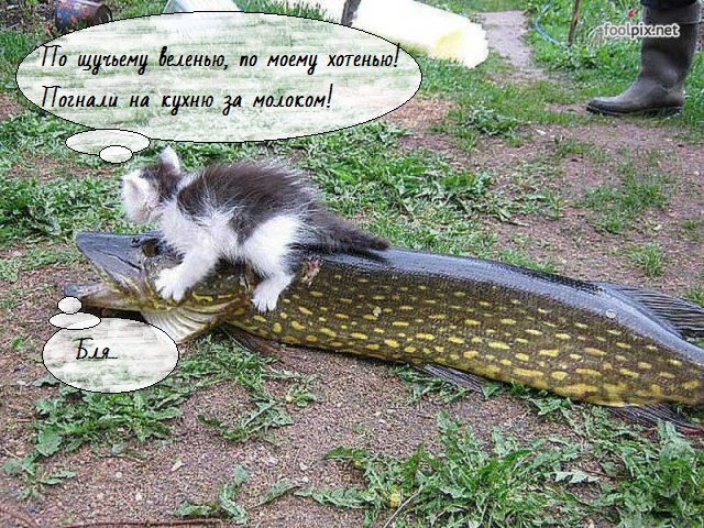 Счастье есть...